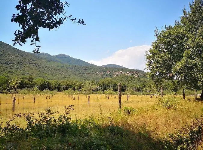 Maison Catalane Climatisee - Jardin Intimiste & Piscine Chauffee - 15 Km Argeles Villelongue-dels-Monts